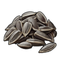 Sunflower Seed