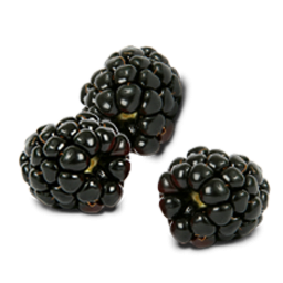 Black Raspberries