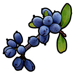 Blue Berry