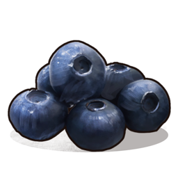 Blueberries