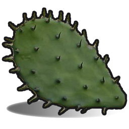 Carne de cactus