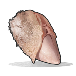 Raw Chicken Breast