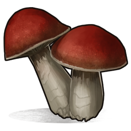 Mushroom