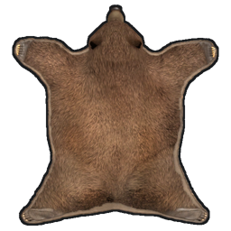 Rug Bear Skin