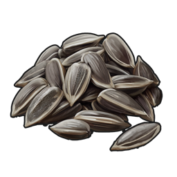 Sunflower Seed