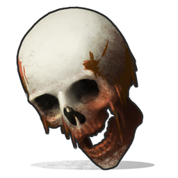 Human Skull