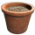 Single Plant Pot